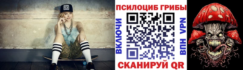 Псилоцибиновые грибы мухоморы  наркотики  kraken рабочий сайт  Малгобек 